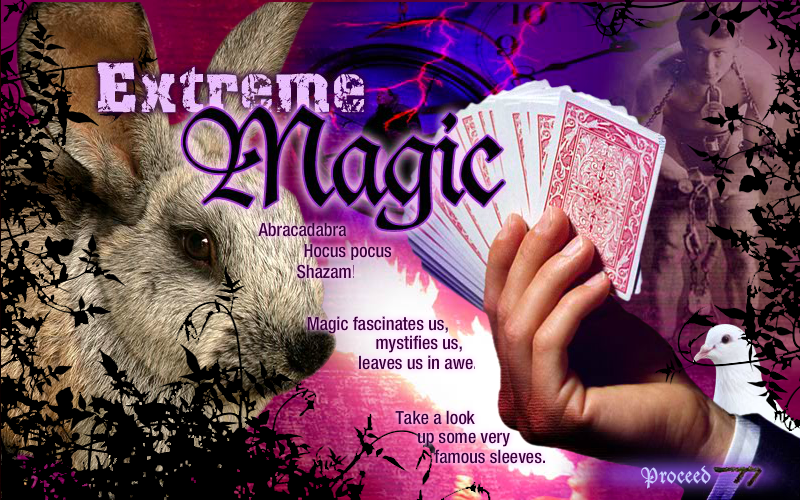 magic-land