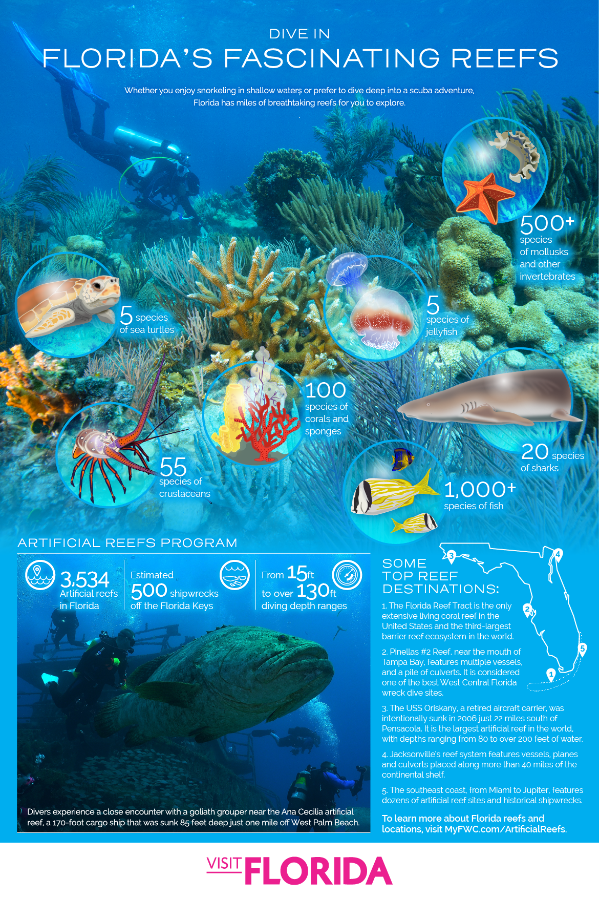 Visit Florida Reefs graphic